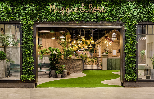 家的延续 立异学玩